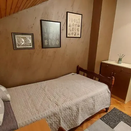 Saint Nicolas Bajina Basta Lägenhet Lug (Bajina Basta)