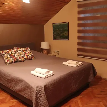 Saint Nicolas Bajina Basta Lägenhet