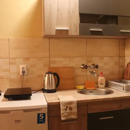 Saint Nicolas Bajina Basta Lägenhet *