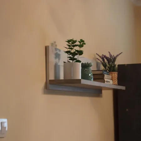 Saint Nicolas Bajina Basta Lägenhet *