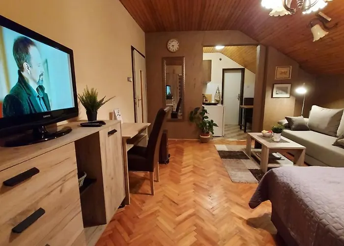 公寓 Saint Nicolas Bajina Basta *