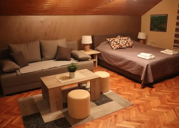 公寓 Saint Nicolas Bajina Basta *