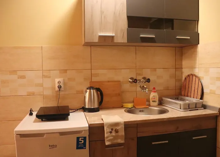 Saint Nicolas Bajina Basta 公寓 *