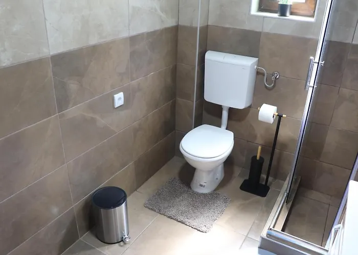 公寓 Saint Nicolas Bajina Basta *