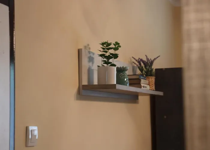 Saint Nicolas Bajina Basta 公寓 *