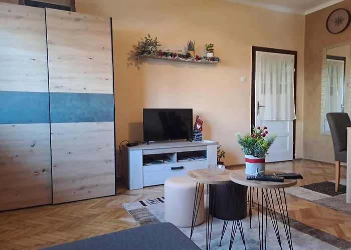 Saint Nicolas Bajina Basta 公寓 *