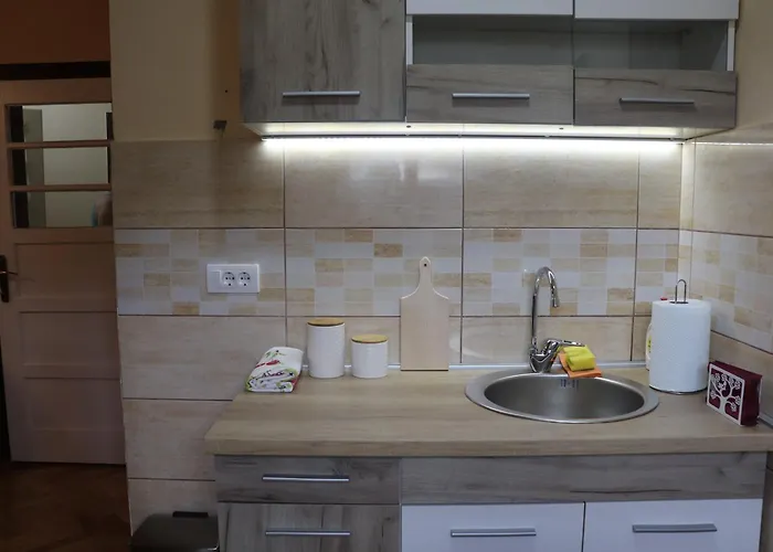 公寓 Saint Nicolas Bajina Basta