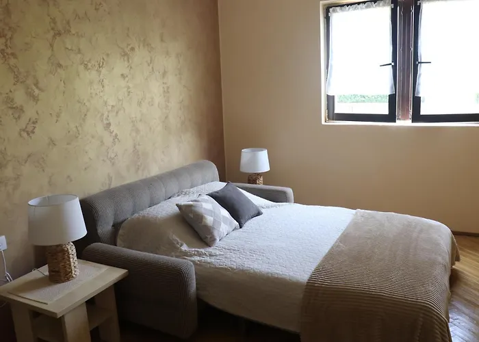 公寓 Saint Nicolas Bajina Basta