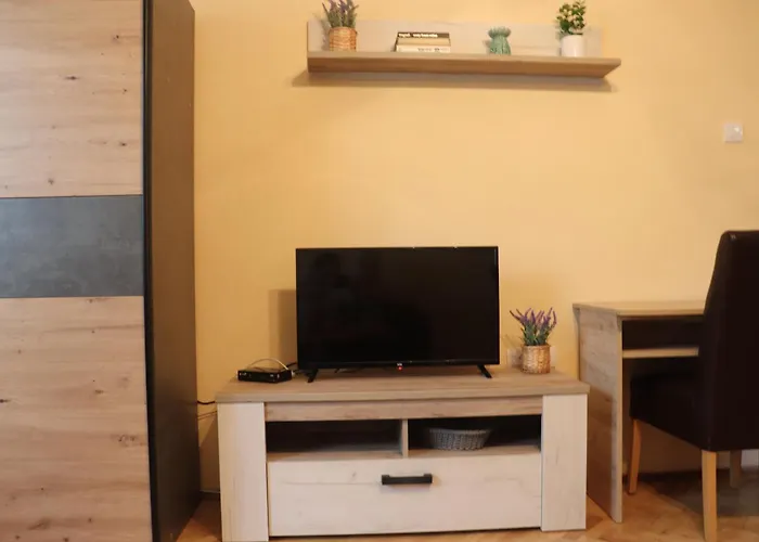 Saint Nicolas Bajina Basta Lug (Bajina Basta)